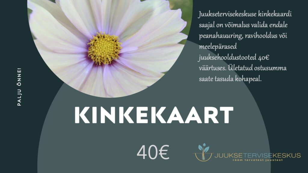 TÄHTPÄEVA E-kinkekaart (virtuaalne)