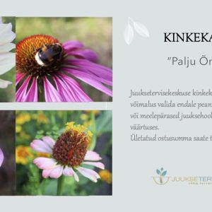 E-kinkekaart-"Palju Õnne!"